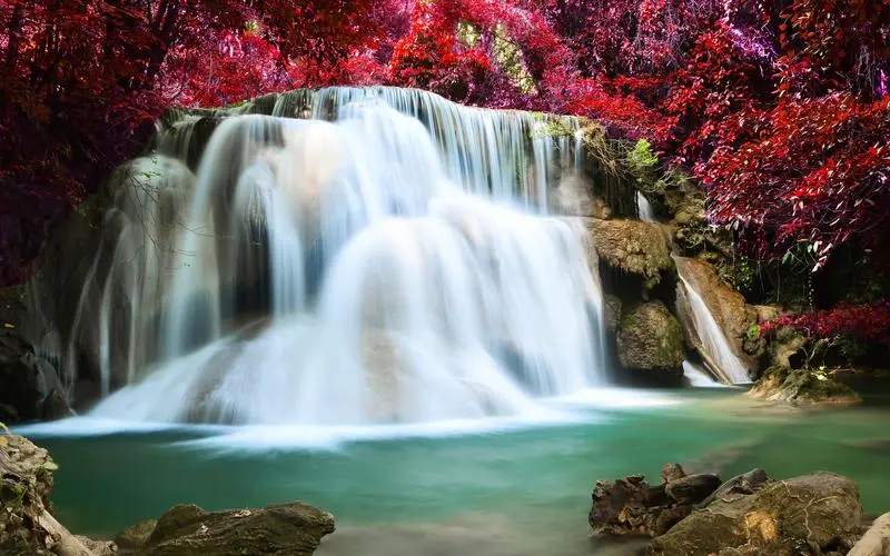 新型电子智能
